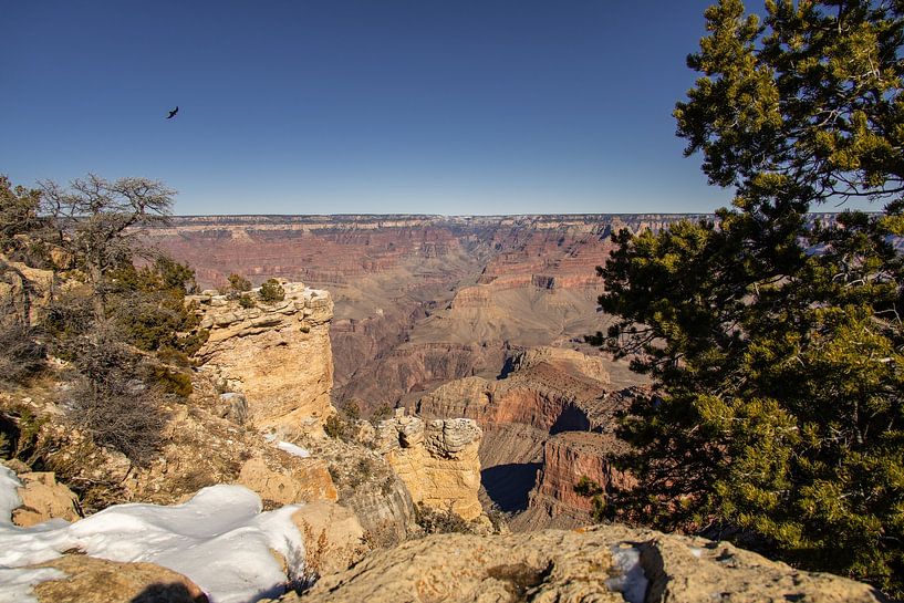 Grand Canyon in Amerika. van Janny Beimers