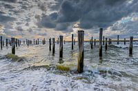 Palendorp Petten