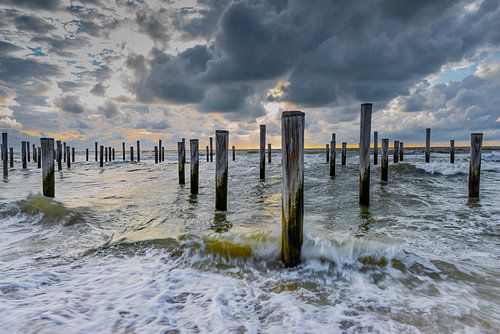 Palendorp Petten