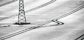 Wheat field ruts by Frank Heinz