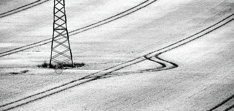 Sporen in het tarweveld van Frank Heinz