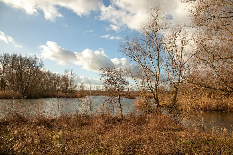 Sumpfmoor von Jan de Jong