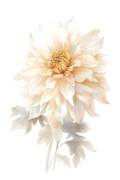 Blume zartgelb bis weiß auf weißem Hintergrund von Dave
