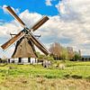 Poldermolen Delphine 1874 van Eduard Lamping