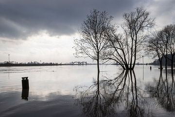 Hochwasser im Rhein bei Doorweth. von Rijk van de Kaa