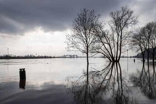 Haute mer dans le Rhin près de Doorweth. sur Rijk van de Kaa