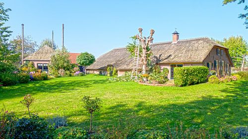 farm sur Rob Hartsink