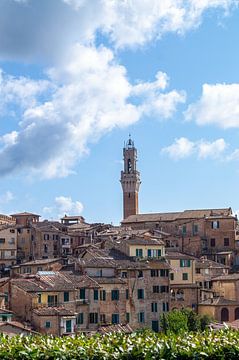 Torre del Mangia, Siena, Toscane, Italië van Discover Dutch Nature