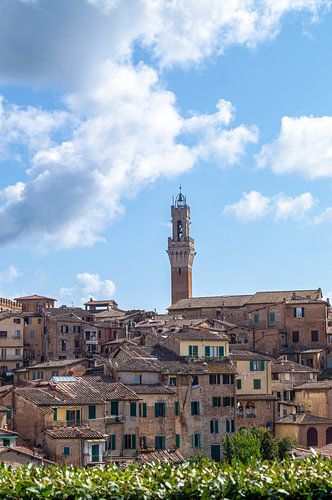 Torre del Mangia, Siena, Toscane, Italië