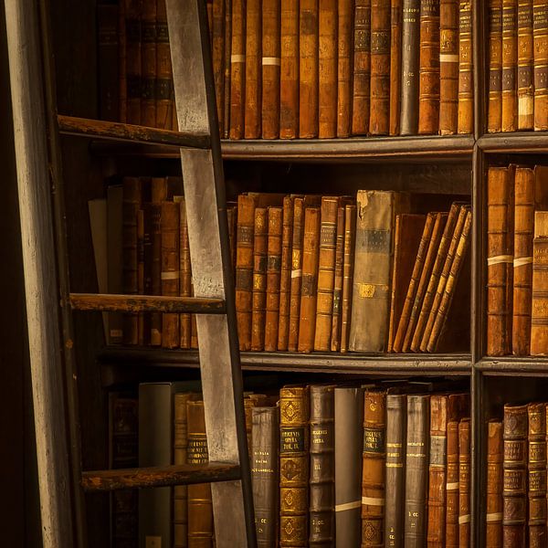 Boekenwijsheid van Bram de Jong
