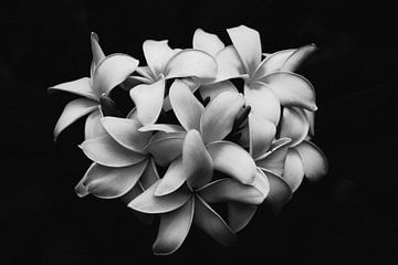 Bloemetjes