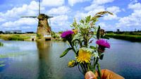 Kinderdijk postcard by Milind Padalikar thumbnail