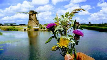 Kinderdijk Postkarte