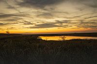 Nature reserve with sunset (golden hour)