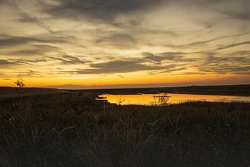Naturschutzgebiet mit Sonnenuntergang (Goldene Stunde) von Ingrid Bergmann  Fotografie