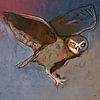 Animal painting of an owl by Hella Maas