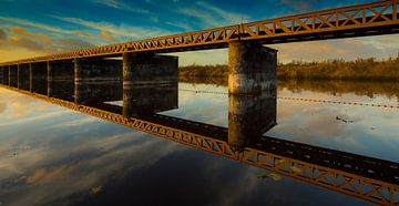 moerputten by Marcel Willems