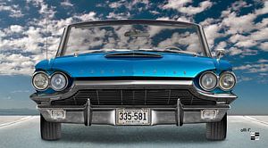 Ford Thunderbird Flair Bird