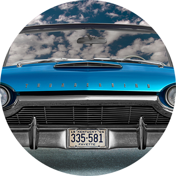 Ford Thunderbird Flair Vogel