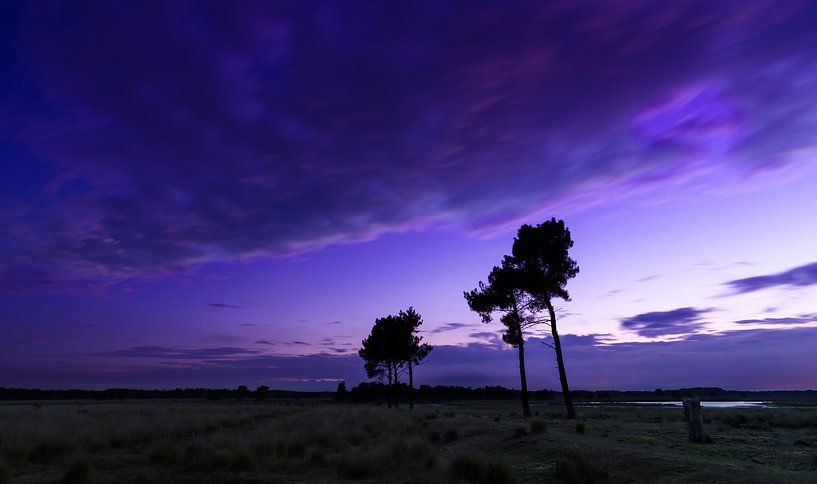 Strabrechtse Heide 136 by Deshamer