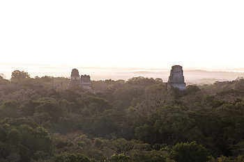 Drie tempels in Tikal
