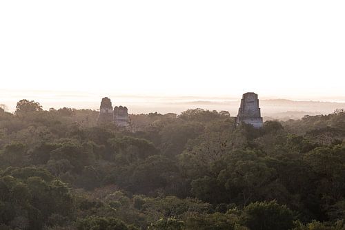 Drei Tempel in Tikal