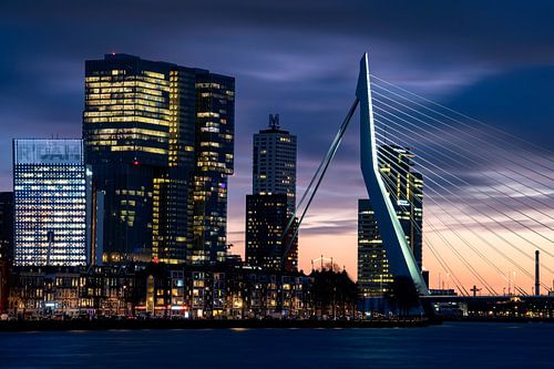 Skyline with the Erasmus Bridge, Rotterdam