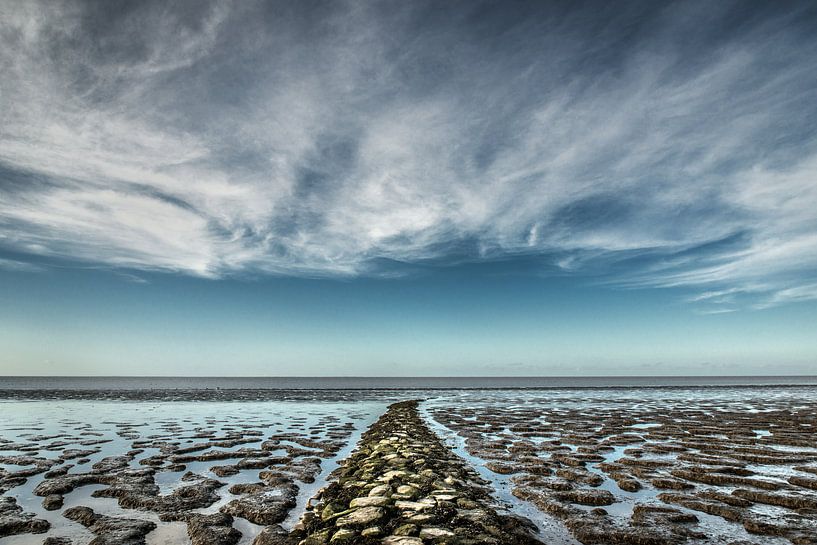 Het Wad by Harrie Muis
