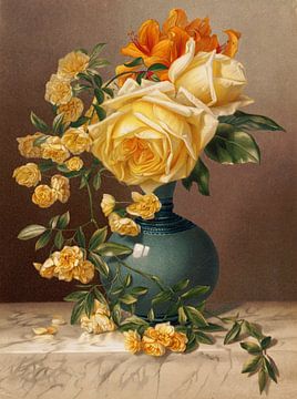 Marchal Niel Roses, William Duffield