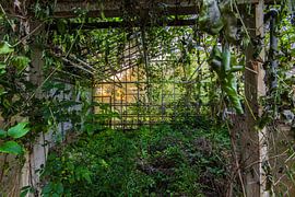 old greenhouse by Elly Olsman