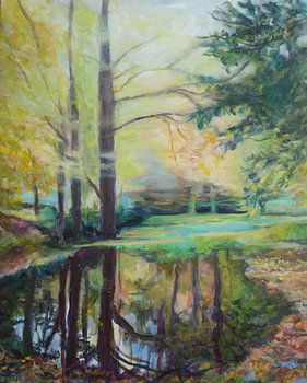 - Herbstlicht durch den Wald