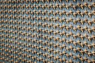 Freedom Wall, Washington by Johan van Venrooy thumbnail