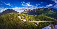 Pont de cordes de haut en bas par Dennis Werkman Aperçu