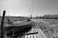 Boot in het riet.