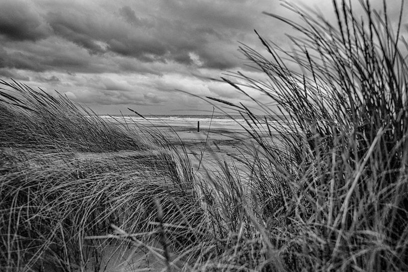 Het Hollandse Strand in Zwart Wit van Alex Hiemstra