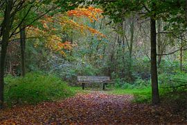 Autumn atmosphere by Frank Amez (Alstamarisphotography)