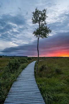 High Fens by Peter Deschepper