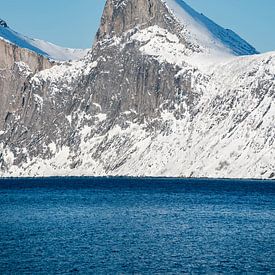 Fjord op Senja met uitzicht op Hester van Leo Schindzielorz