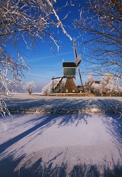 Winter by Henk Leijen