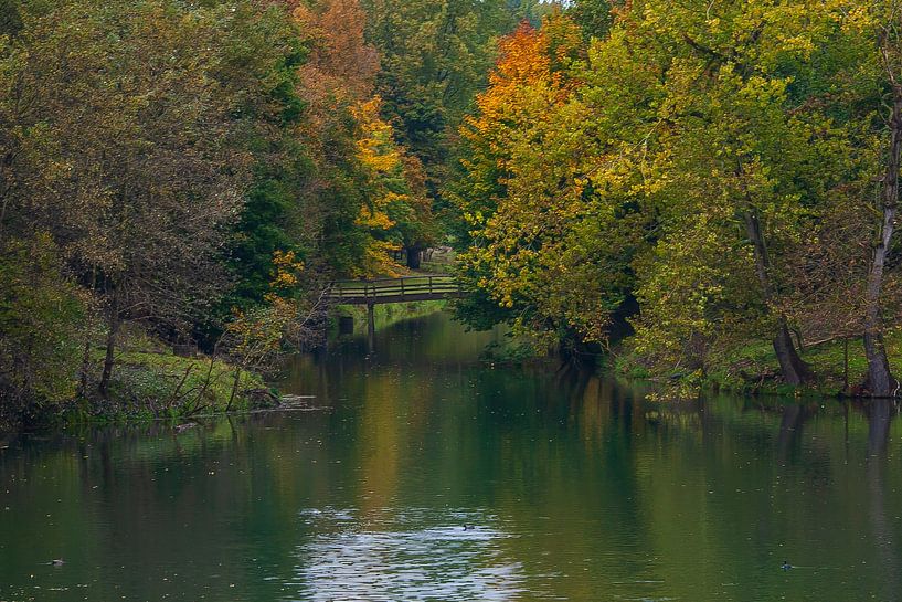 Herfstbeeld van Bert van Wijk