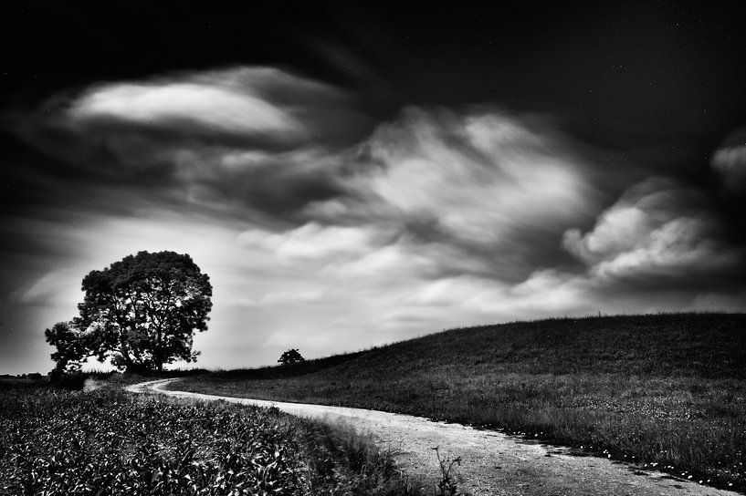 Route sinueuse sur un remblai avec un arbre (noir et blanc) par John Verbruggen