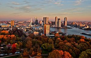 Rotterdam cityscape van Linda Raaphorst