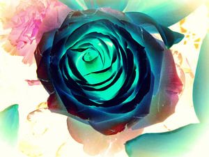 Blue Rose abstract