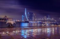 Reflection Erasmusbrig Rotterdam by Tom Roeleveld thumbnail