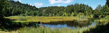 Nonnenmattweiher-Panorama im Schwarzwald 2.0