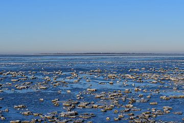 Eis auf dem Wattenmeer von Bernard van Zwol