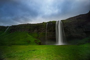 Iceland - Magical waterfalls of Seljalandsfoss with yellow flowe by adventure-photos