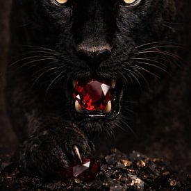 Mitternachts-Schatz ||| von Evphotosplace