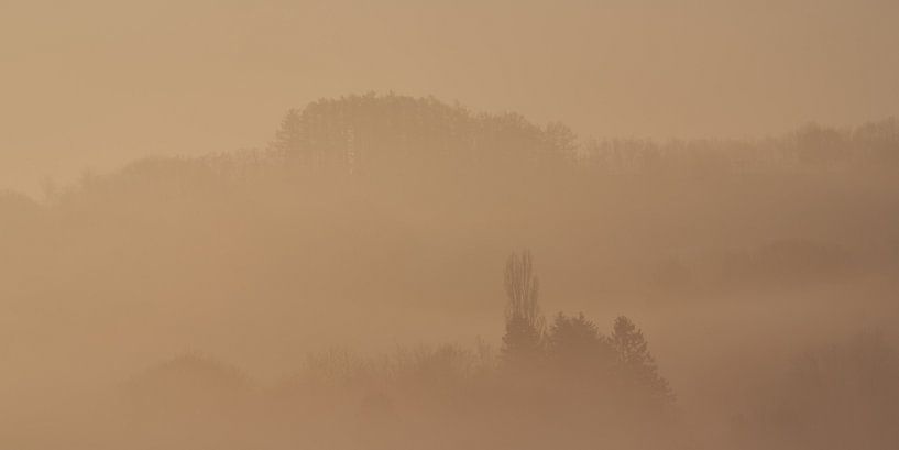 Originele foto van de reeks kleurspeling by Geert Perdaens