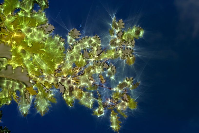 Bright foliage, nature by Daniel Dorst